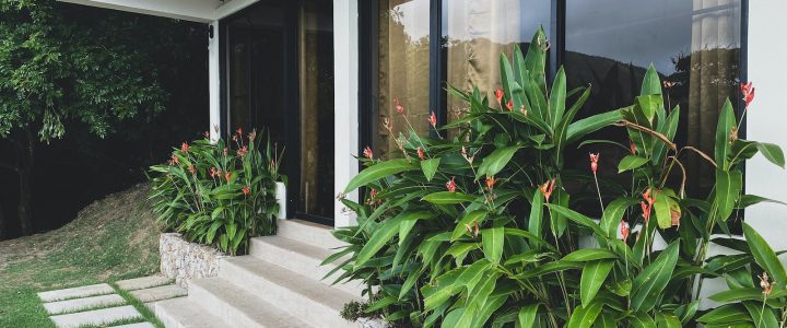 a house that has a bunch of plants in front of it