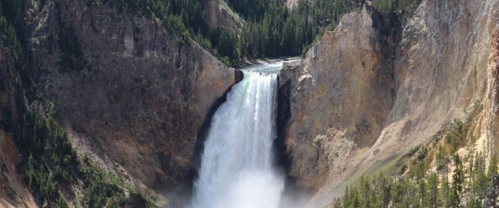 waterfalls in the middle of green trees